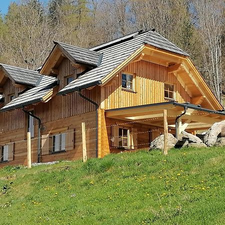 Vila Laerchenhaus ,,Unterer Brodl" Sankt Peter am Kammersberg Exteriér fotografie