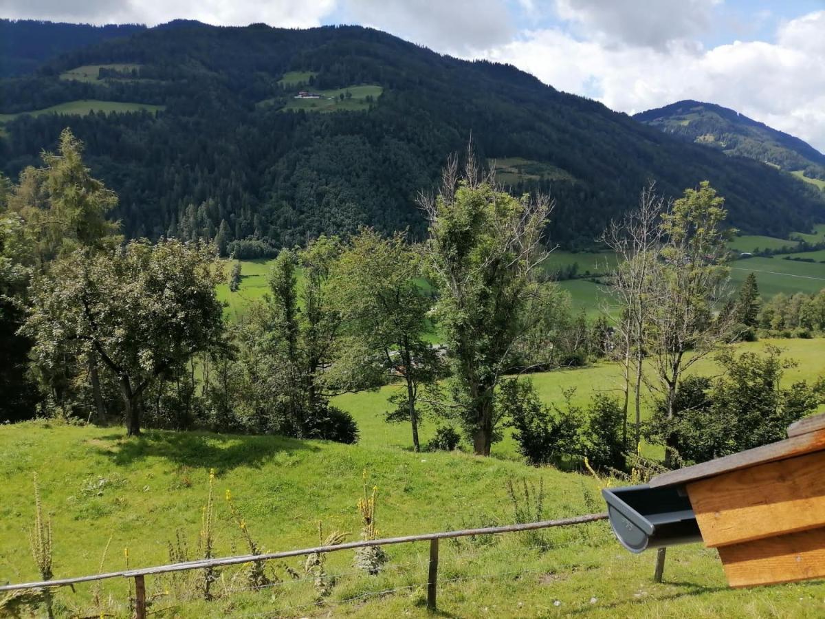 Vila Laerchenhaus ,,Unterer Brodl" Sankt Peter am Kammersberg Exteriér fotografie