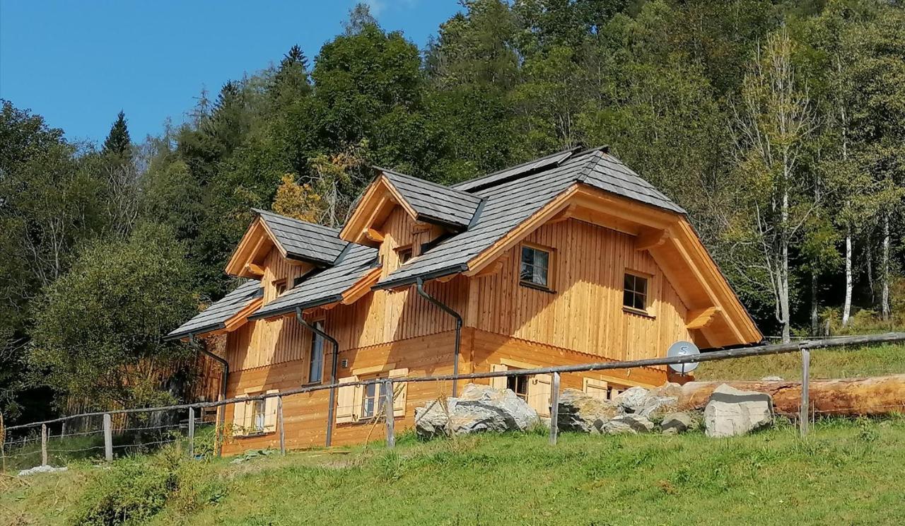 Vila Laerchenhaus ,,Unterer Brodl" Sankt Peter am Kammersberg Exteriér fotografie
