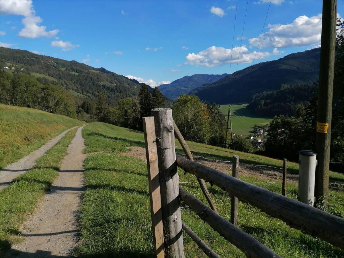 Vila Laerchenhaus ,,Unterer Brodl" Sankt Peter am Kammersberg Exteriér fotografie