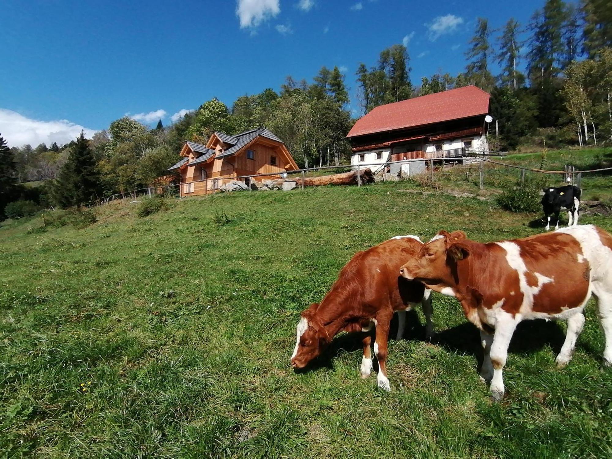 Vila Laerchenhaus ,,Unterer Brodl" Sankt Peter am Kammersberg Exteriér fotografie