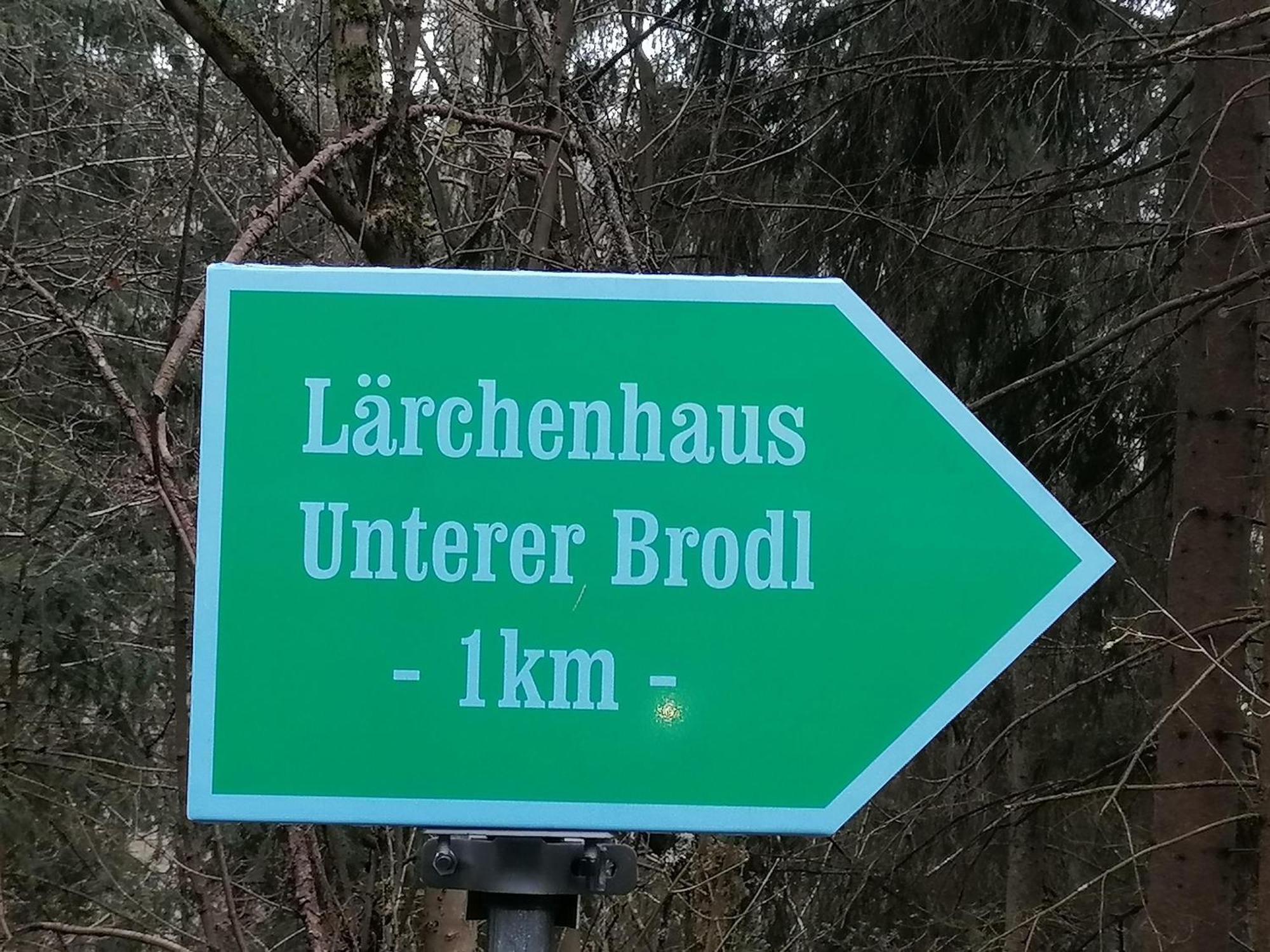 Vila Laerchenhaus ,,Unterer Brodl" Sankt Peter am Kammersberg Exteriér fotografie