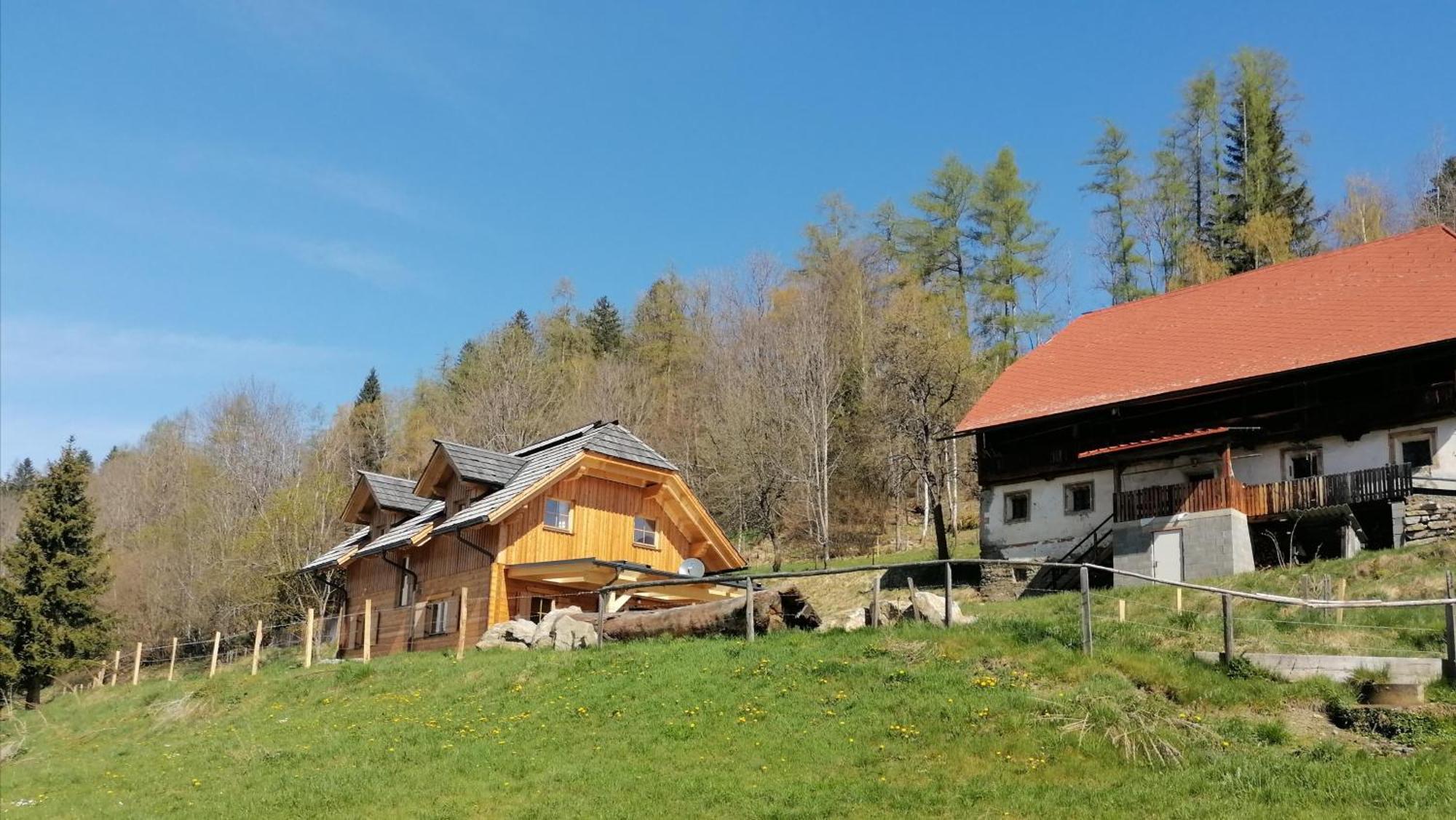 Vila Laerchenhaus ,,Unterer Brodl" Sankt Peter am Kammersberg Exteriér fotografie