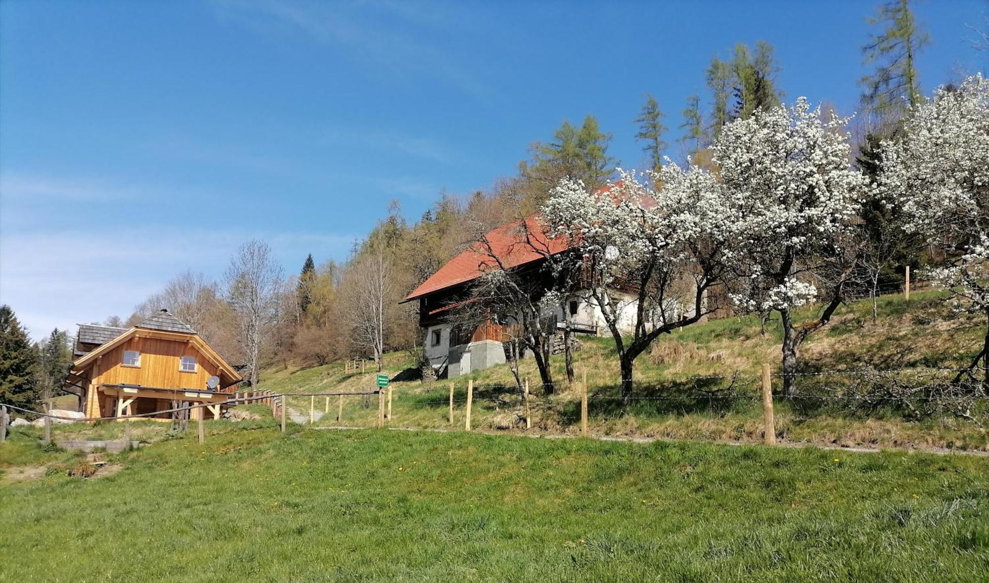 Vila Laerchenhaus ,,Unterer Brodl" Sankt Peter am Kammersberg Exteriér fotografie