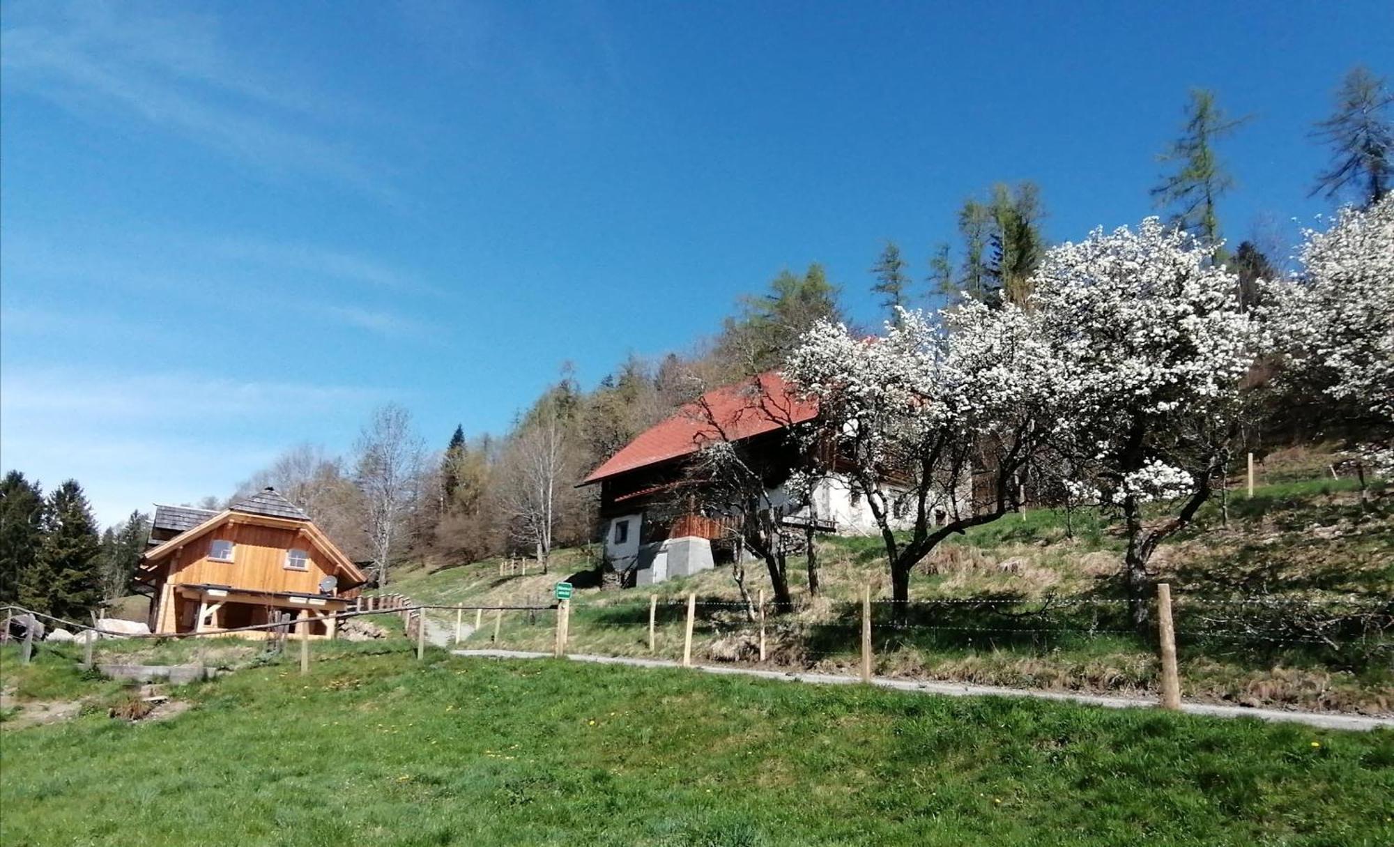 Vila Laerchenhaus ,,Unterer Brodl" Sankt Peter am Kammersberg Exteriér fotografie