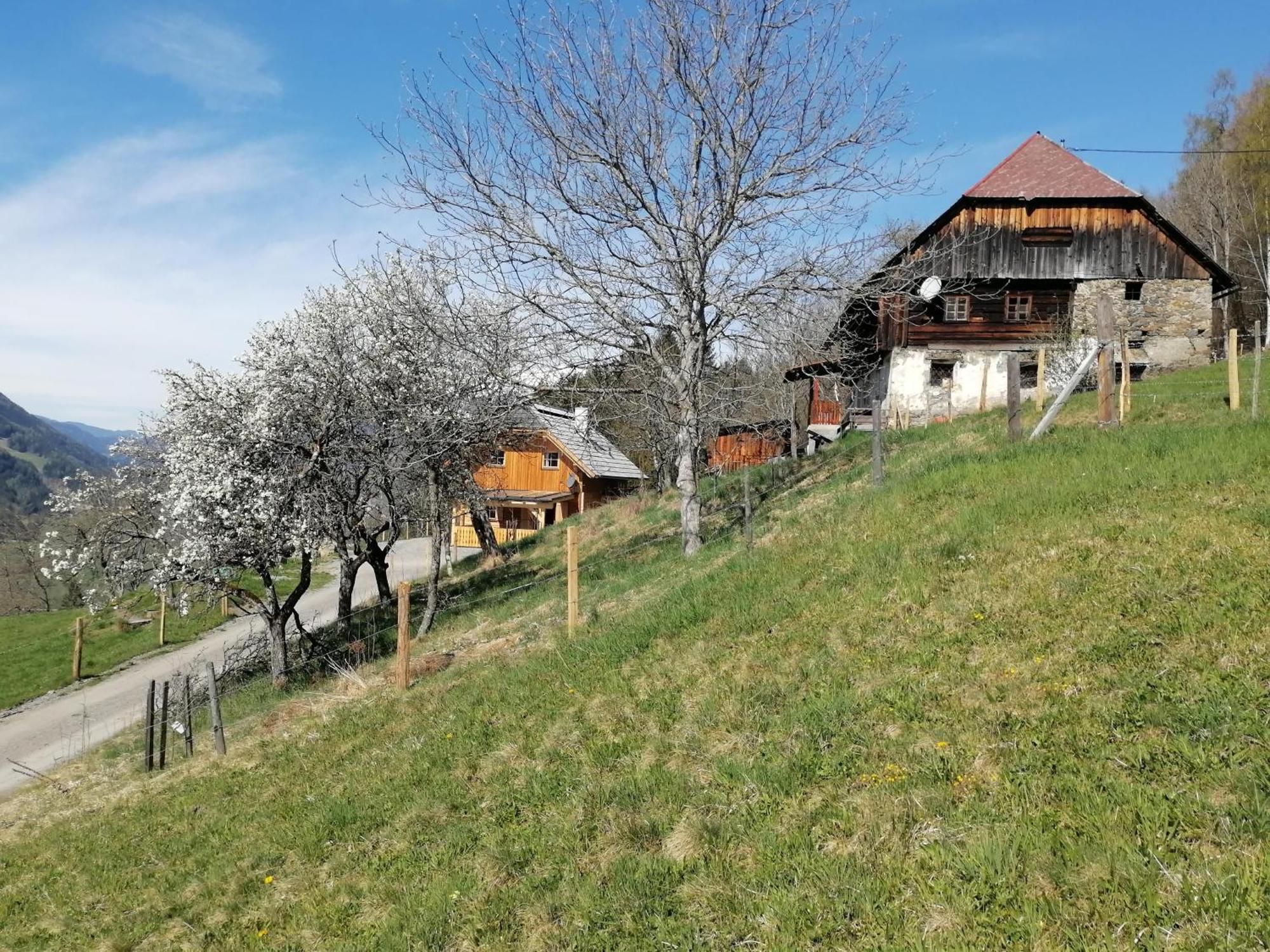 Vila Laerchenhaus ,,Unterer Brodl" Sankt Peter am Kammersberg Exteriér fotografie