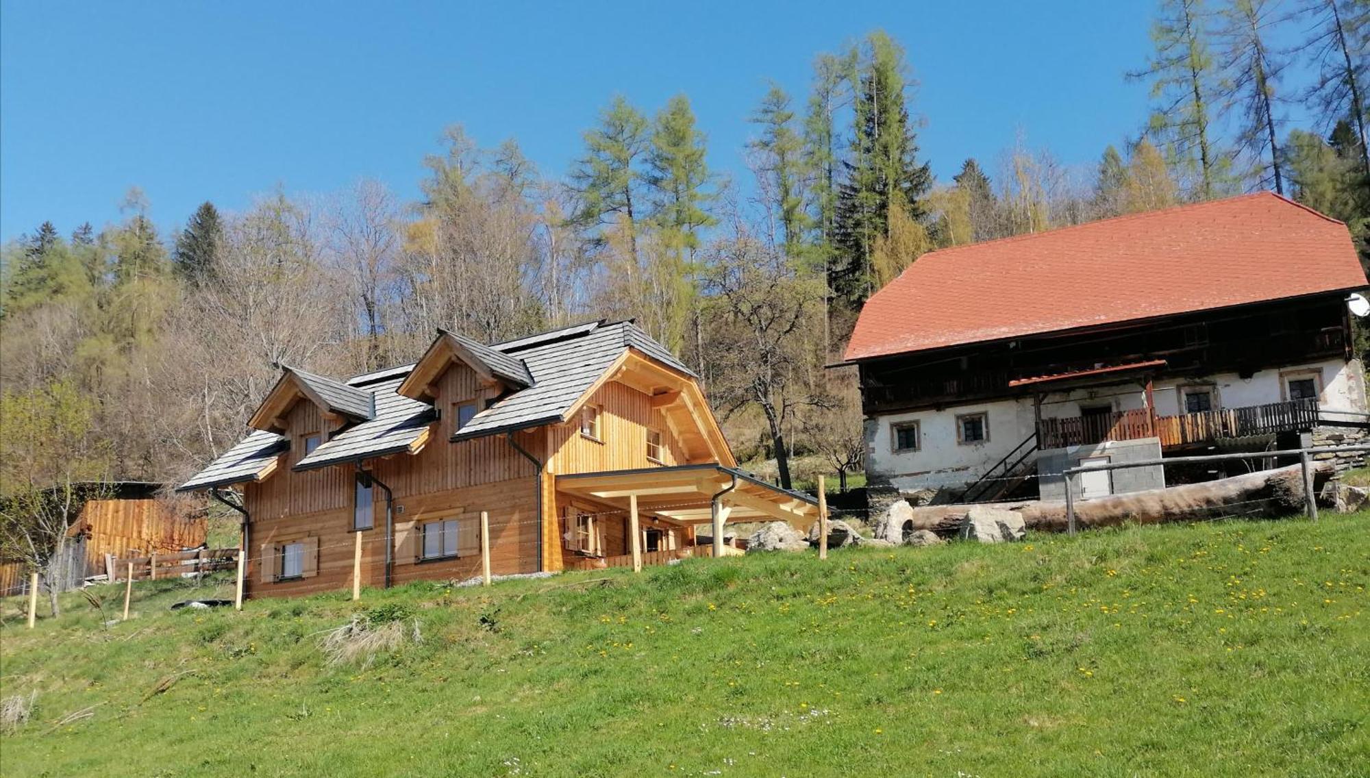 Vila Laerchenhaus ,,Unterer Brodl" Sankt Peter am Kammersberg Exteriér fotografie