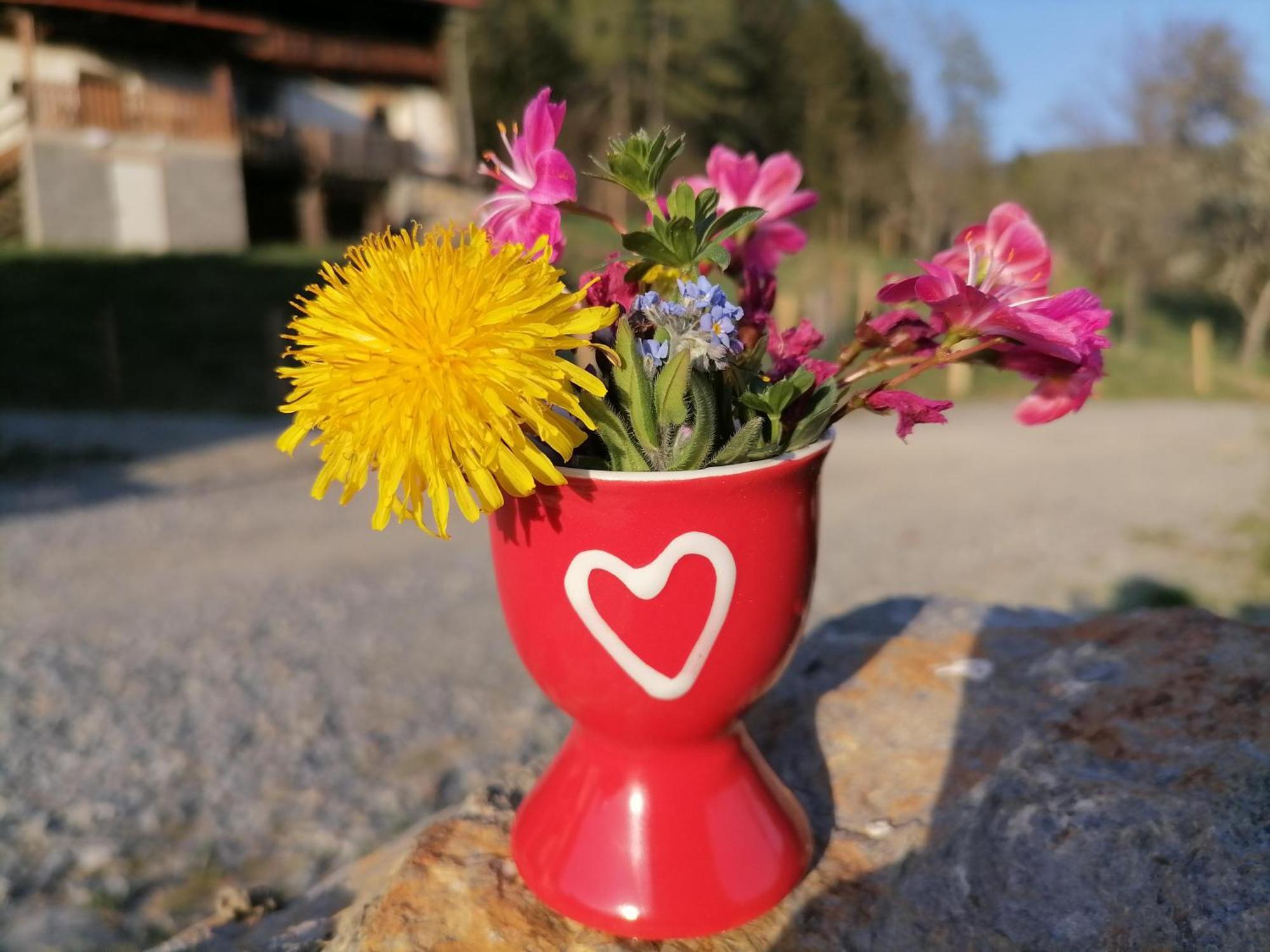 Vila Laerchenhaus ,,Unterer Brodl" Sankt Peter am Kammersberg Exteriér fotografie