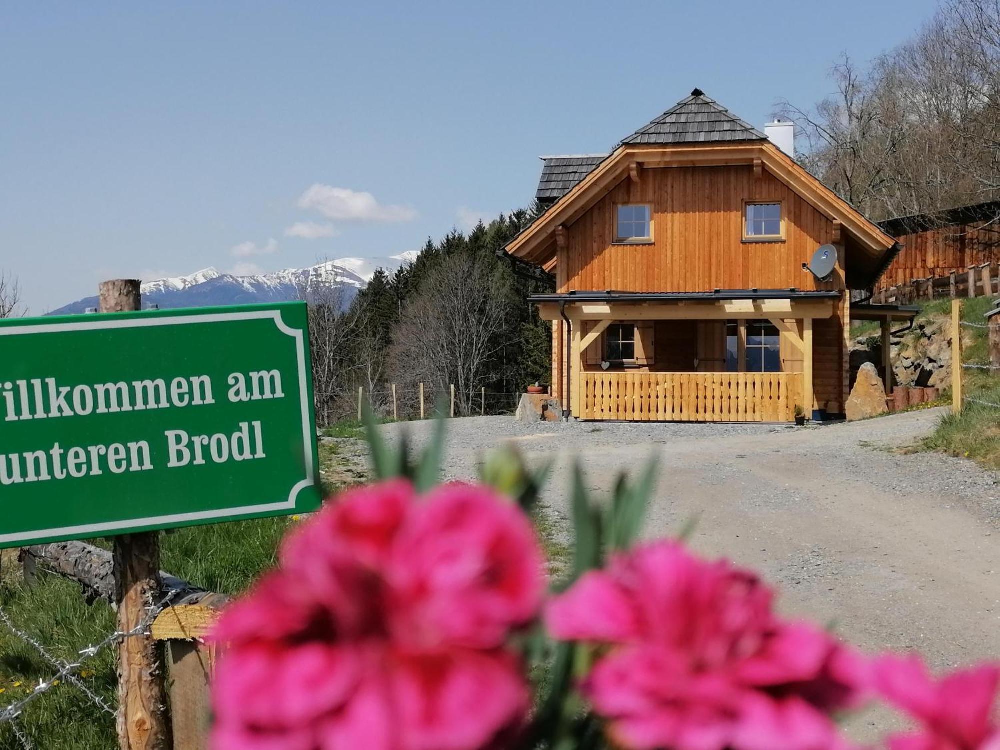 Vila Laerchenhaus ,,Unterer Brodl" Sankt Peter am Kammersberg Exteriér fotografie