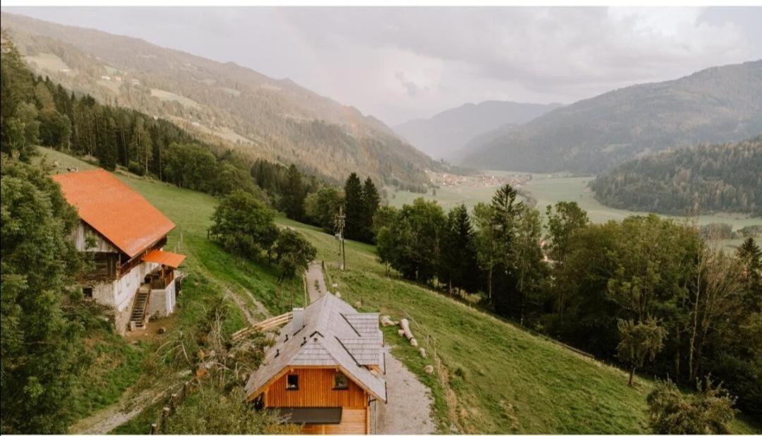 Vila Laerchenhaus ,,Unterer Brodl" Sankt Peter am Kammersberg Exteriér fotografie