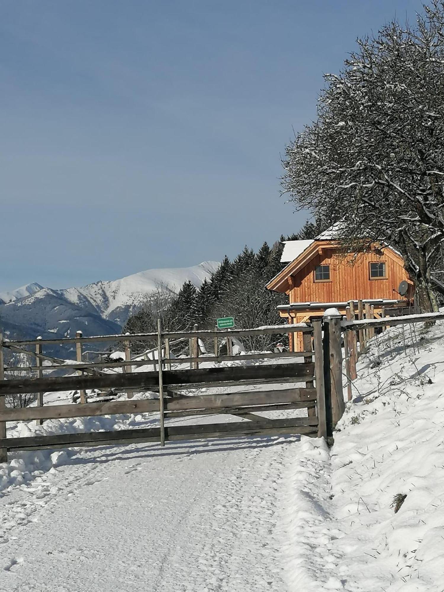 Vila Laerchenhaus ,,Unterer Brodl" Sankt Peter am Kammersberg Exteriér fotografie