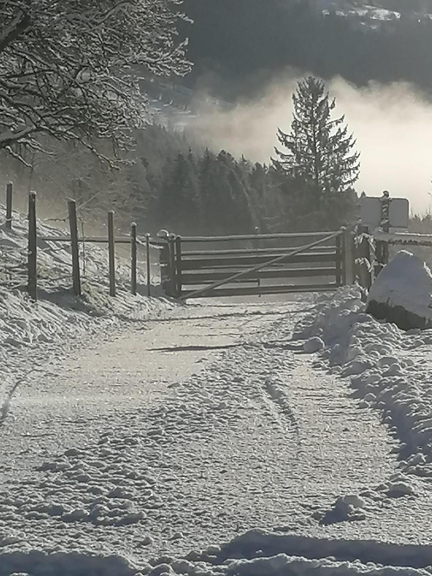 Vila Laerchenhaus ,,Unterer Brodl" Sankt Peter am Kammersberg Exteriér fotografie