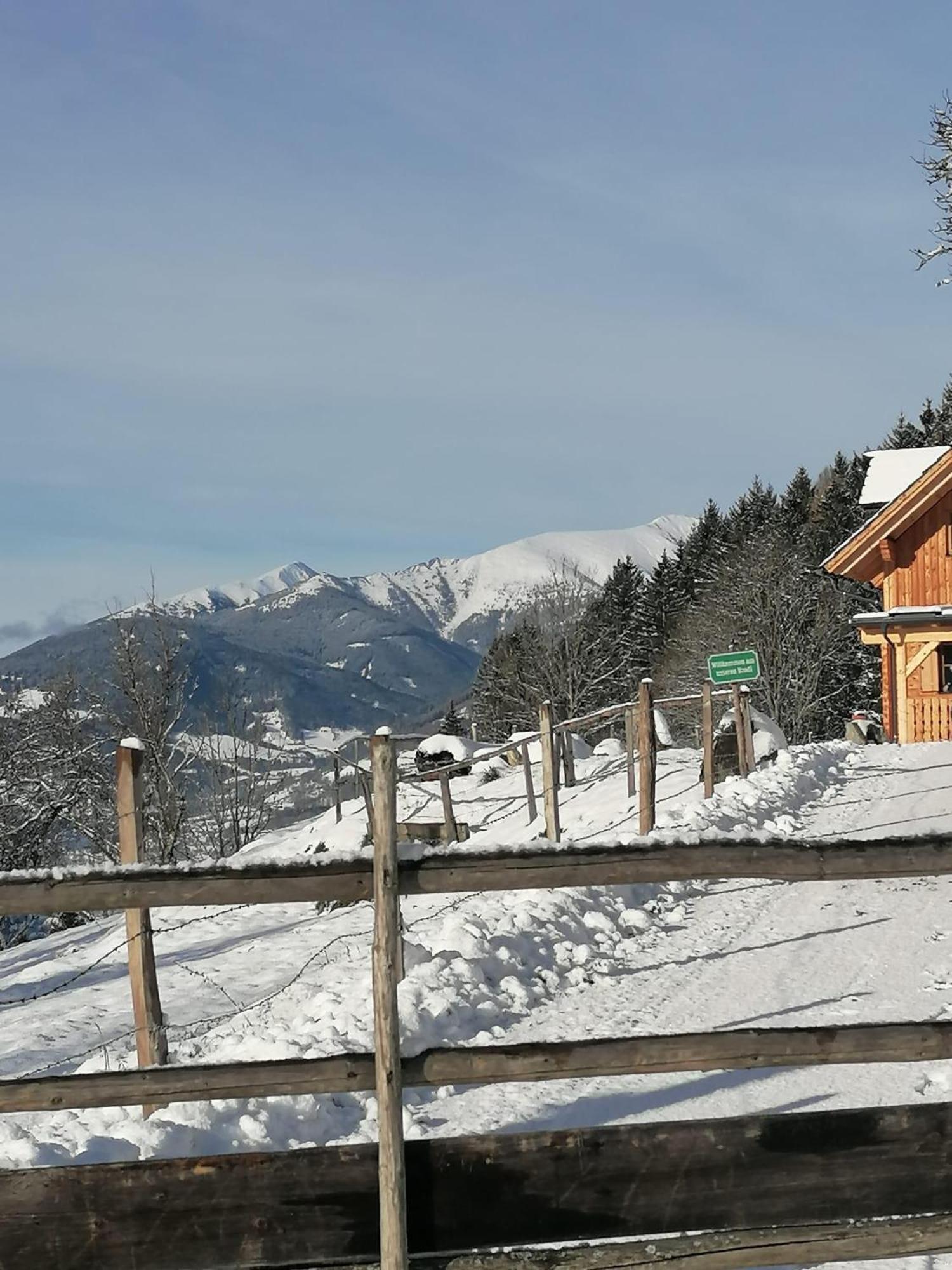 Vila Laerchenhaus ,,Unterer Brodl" Sankt Peter am Kammersberg Exteriér fotografie